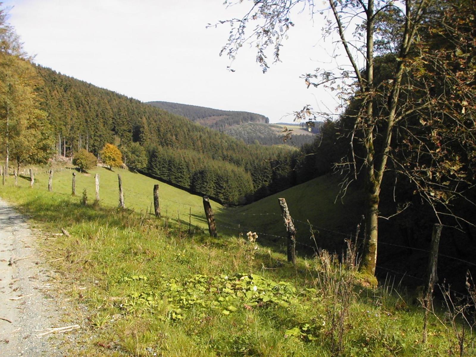 Sonneneck Hotel Winterberg Luaran gambar